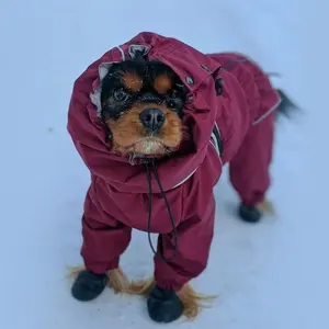 Mengjiqiqu-vêtements chauds d'hiver, veste, épagneul étanche, combinaison complète, membrane, pour chien - Product Image 1