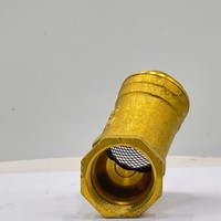 Filtre anti-retour en laiton type Y SD, entrée 1 pouce, température moyenne, en stock, sans MOQ, pour système de tuyauterie d'eau