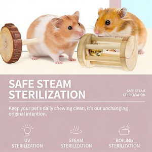 Ensemble de jouets pratiques pour petits animaux, écologiques, durables, naturels, non toxiques, jouets de dentition pour lapin, hamster, perroquet, fournitures pour animaux de compagnie - Product Image 2