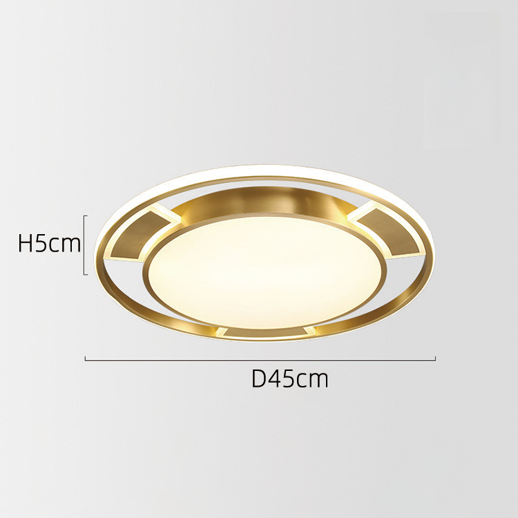 popular ceiling lighting-2