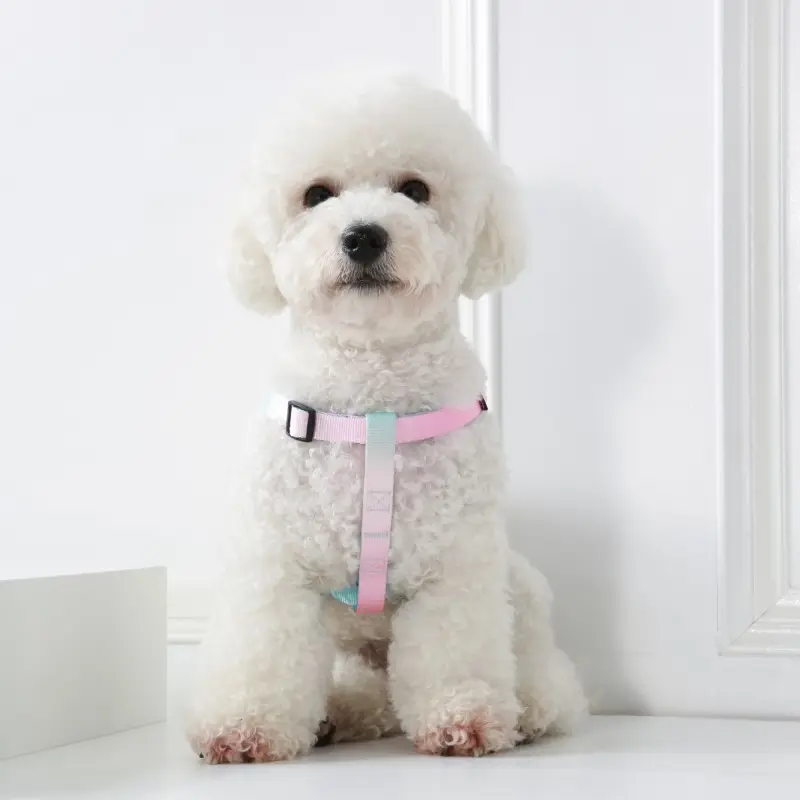 UFBemo hot sale wholesale custom pattern colorful multi color soft durable shock absorbing pet dog leash running walking