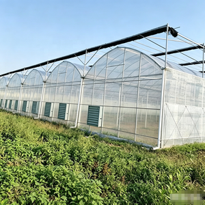 Couverture de serre multi-travées pour l'agriculture maraîchère 6x30m Serre tunnel commerciale - Product Image 3