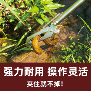 Stainless Steel Eel Tongs Catfish Fishing Accessories Durable Manual Tool For Fishing - Product Image 5