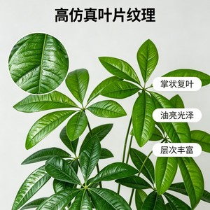 Planta Artificial de Árbol del Dinero, Ramo de Hojas de la Fortuna, Decoración de Interiores, Planta en Maceta, Decoración del Hogar - Product Image 5