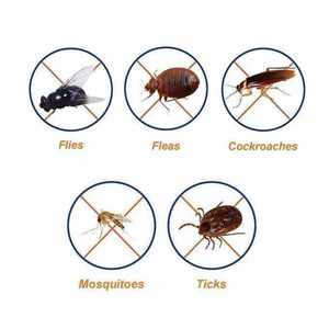 Bendiocarb 80% WP <span class=keywords><strong>Insecticida</strong></span> de Alta Eficiencia <span class=keywords><strong>para</strong></span> el Control de Cucarachas, <span class=keywords><strong>Hormigas</strong></span> y Chinches - Product Image 5