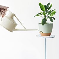 Pot Bunga Plastik Ramah Lingkungan dengan Sistem Penyiraman Sendiri untuk Dalam dan Luar Ruangan, Ukuran 7/6.5/6/5.5/5 Inci, Lubang Drainase, 5 Buah, Ringan dan Tahan Lama untuk Rumah