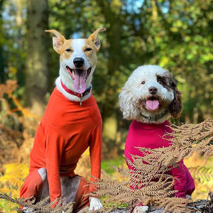 Nome Marca Poliéster clássico geral Pet roupas para cães estilo tradicional de Ação de Graças ou Dia dos Namorados - Product Image 5