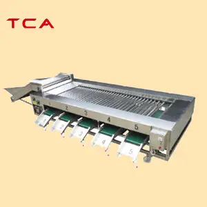 Machine de classement de fruits et légumes entièrement automatique, équipement de classement de pommes de terre orange à grande sortie