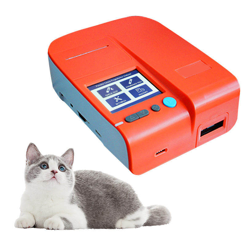 Affordable Veterinary Clinic Equipment Canine Dog