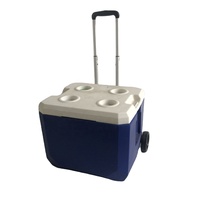 Hs refroidisseur en plastique 30L coffre à glace refroidisseur dur avec roues roulant avec logo promotion garder article refroidissement poitrine refroidisseur de nourriture