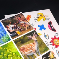 Papier Aimant Mince Coloré Sublimation Magnétique Adhésif Lettre Feuille Blanc Fort Flexible Épais Jet D'encre Aimant Feuilles Photo