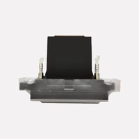 Nueva Impresora Plana UV de Inyección de Tinta de Alta Velocidad y Totalmente Automática AMO con 4 Cabezales de Impresión 1024i, 1200dpi, Impresión Automática Dúplex para Etiquetas/Flexibles/Materiales de Huevos