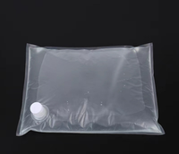 Sacs en plastique liquides écologiques de taille personnalisée, faciles à transporter, pour l'extérieur, avec bec verseur
