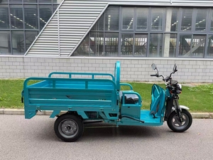 Tricycle Fengmade à trois roues, très vendu, haute capacité de charge - Product Image 3
