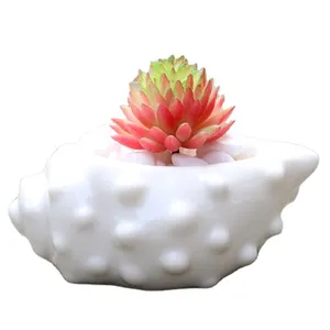 Pot sukulen Mini lapisan keramik putih 10*6.5*4cm, Pot tanaman Mini bintang laut keramik untuk hadiah Natal dan ulang tahun dan kerajinan dekorasi rumah dan hadiah