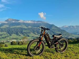 Bicicleta Eléctrica Romeo Pro II Eahora 250 con Motor de 2*120N-m, Neumáticos Gruesos de 25 Pulgadas, 200w, para Adultos - Product Image 2