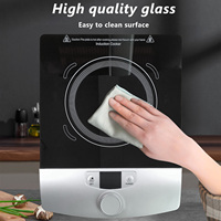 Plaque de verre noire 220V 2000W 1 double brûleur table de cuisson électrique cuisinière à induction cuisinière à induction