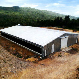 โรงเรือนโครงสร้างเหล็กสำหรับเลี้ยงวัว/ไก่/แกะ แบบโมเดิร์น พร้อมคานรูปตัว H - Product Image 1