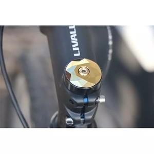 Riderace Xe Đạp Tai Nghe Bị Cháy Màu Xanh MTB Xe Đạp Đường Thân Top Cap Bìa Với Vít Cho 28.6Mm Ngã Ba Đầu Ống Đi Xe Đạp Phụ Kiện - Product Image 6