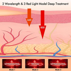 Tapis de thérapie par lumière rouge pour animaux de compagnie, coussin chauffant pour chiens et chats, pour soulager les douleurs articulaires, la relaxation et la récupération, taille 86*30CM - Product Image 4