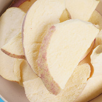 Gefreeze-droogde appelschijfjes FD Gefreeze-droogde Proces Bulkverpakt Knapperig 1kg Kantoorpersoneel Draagbare Snack Fruit Gedroogde Appel