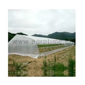 Low Cost Tropical Transparent Single Span Plastic Shed Companies Greenhouses Other Green house Agriculture