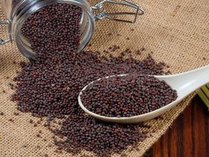 Frasco de Vidrio Hermético para Almacenamiento, Recipiente a Prueba de Humedad con Tapa de Clip para Frutas Secas, Frijoles, Azúcar y Especias - Product Image 1