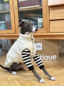 ग्रेहाउंड सभी मौसमों मोटी डबल परत वाली कपास बनियान गर्म मजबूत कपड़े - Product Image 5