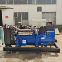 Générateur diesel super silencieux 300 kVA à moteur sans balais, économe en carburant, 50/60 Hz, insonorisé avec ATS et automatisation, pour usage extérieur