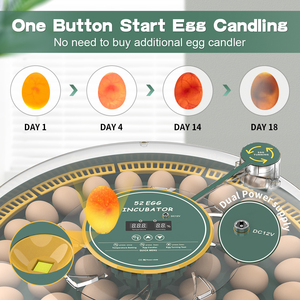 Incubadora automática de huevos 52Egg <span class=keywords><strong>Mini</strong></span> Incubadora de huevos Incubadora de doble potencia para pollos Aves de Corral Pato Máquina para incubar huevos - Product Image 2