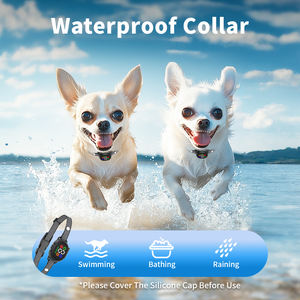 <span class=keywords><strong>2026</strong></span> नया आगमन मिनी एंटी बार्क डिवाइस ipx7 वाटरप्रूफ ब्रेक स्टॉप बार्किंग डॉग छाल नियंत्रण स्मार्ट प्रशिक्षण कॉलर - Product Image 5