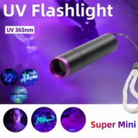 Lampe torche UV avec filtre noir et faisceau UV pur pour la détection des taches, l'inspection de la propreté et l'exploration en extérieur