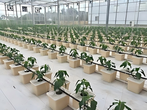 Grand seau hollandais Bato <span class=keywords><strong>pour</strong></span> serre, hydroponie, aéroponie, utilisation en ferme, système de culture, bac de culture de jardin - Product Image 4