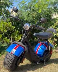 มอเตอร์ไซค์ไฟฟ้า Citycoco รุ่นสั่งทำพิเศษ 2000W สำหรับตลาดบราซิล แบตเตอรี่ลิเธียม LiFePO4 สกู๊ตเตอร์ไฟฟ้าความเร็วสูง พร้อมกุญแจรีโมท - Product Image 1