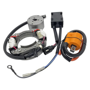 Kit de remplacement de bobine d'allumage, stator, rotor et CDI pour moto <span class=keywords><strong>Suzuki</strong></span> <span class=keywords><strong>RM</strong></span> 80 <span class=keywords><strong>85</strong></span> 85L RM80 RM85 RM85L Dirt Pit Bike - Product Image 3