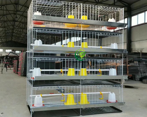Équipement <span class=keywords><strong>d</strong></span>'élevage avicole : Cage <span class=keywords><strong>de</strong></span> poussins <span class=keywords><strong>de</strong></span> type H pour 45 jours / Éleveuse / Cages pour poussins pondeuses <span class=keywords><strong>d</strong></span>'<span class=keywords><strong>un</strong></span> <span class=keywords><strong>jour</strong></span> à vendre - Product Image 5