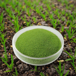 Engrais foliaire en poudre Rosia EDTA à base d'oligo-éléments chélatés (calcium, magnésium, zinc, bore, <span class=keywords><strong>fer</strong></span>, manganèse) organique haute pureté - Product Image 6