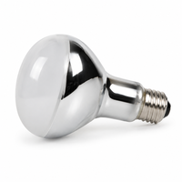 Lampe chauffante pour animaux de compagnie sans lumière, UVA UVB R95 80W 100W, ampoule universelle