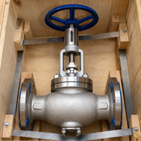 Vanne à boisseau sphérique manuelle de 4 pouces avec raccordement à bride PN16 pour l'eau, la vapeur et les fluides industriels