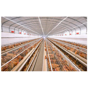 Goedkope Kippen Pluimveebedrijf Prefab Metalen Stalen Structuur Boerderij Gebouw Koe Kippen Schuur Schuur - Product Image 2