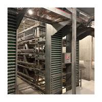 Cages automatiques galvanisées de type H, économes en énergie, gain de place, idéales pour une ferme avicole de 10 000 oiseaux