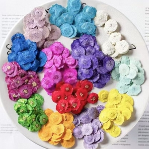 Commercio all'ingrosso piccolo <span class=keywords><strong>Zou</strong></span> Jiao fai da te materiale fiori secchi in rilievo cotone per telefono cellulare colla cosmetici colorante-lavorato pianta essiccata - Product Image 4