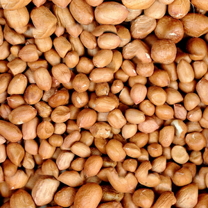 Arachides de qualité export, de première saison, pour broyage, de qualité premium, fraîches - Product Image 1