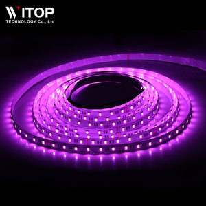 24v 12v 5050rgbww <span class=keywords><strong>luce</strong></span> 60Led/m 300 un rotolo 5 in1 rgbct 5050 flessibile striscia led di alta qualità corda Led <span class=keywords><strong>solo</strong></span> - Product Image 6