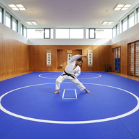Tapis de judo professionnel en PE réticulé, tapis de lutte de haute qualité, tapis en mousse XPE pour salle de sport à domicile