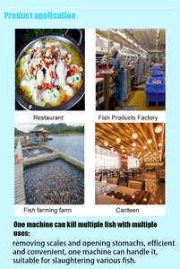 เครื่องเปิดหน้าท้องปลา<span class=keywords><strong>กะพง</strong></span>สำหรับย่าง<span class=keywords><strong>ปลา</strong></span> - Product Image 6