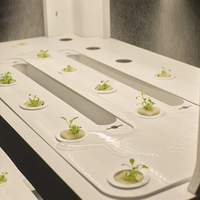 Système hydroponique intelligent pour la culture à domicile, équipement hydroponique, outil de plantation sans terre pour légumes et fleurs, LED