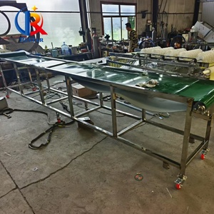 Máquina clasificadora automática de manzanas de alta eficiencia con clasificación de tamaño de precisión, ideal para el procesamiento postcosecha de huertos - Product Image 3