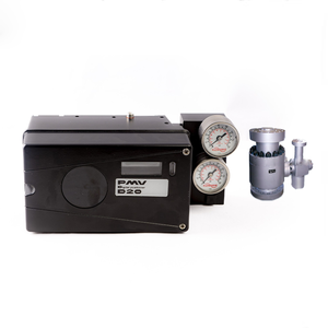 4-20 MA PMV D20 Industrial Digital con Shanghai Dianjian - Product Image 5