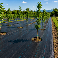 Toile de paillage hydrophobe pour l'agriculture, les fermes et les pépinières